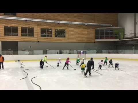 Přípravka - trénink 26.10.2016