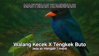 Download lagu Masteran Kombinasi Walang Kecek Sambung Tengkek Buto Jeda Air Mengalir 1 Menit mp3 Download lagu Masteran Kombinasi Walang Kecek Sambung Tengkek Buto Jeda Air Mengalir 1 Menit mp3