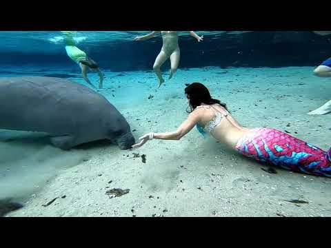 Kadal Kanni | Part 2 | Caught on Camera