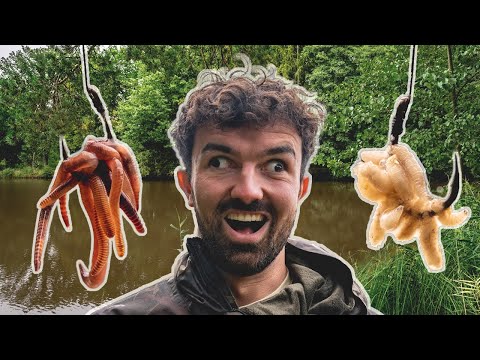 Wurm vs. Made 🎣 Posen Angeln am Waldsee