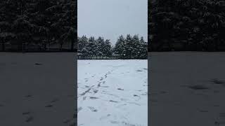 Snow-Kissed Kishtwar: Embracing the Symbol of Serenity | Kishtwar Diaries #shorts #shortsviral