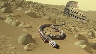 Perseverance Rover SOL 1074 | Mars New 4k Video | Mars 4k Video | 4k New Video Footage of Mars