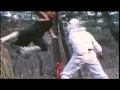 Ninja Vs Shaolin Guards On MYX TV S MOVIE SO GOOD