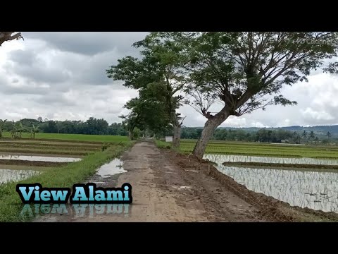 SUSUR JALAN DESA ADISARA