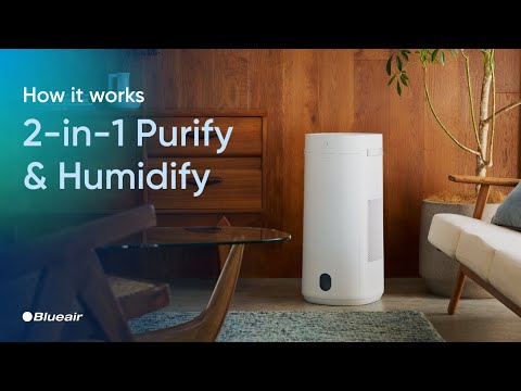 Blueair 2-in-1 Purify + Humidify Tutorial