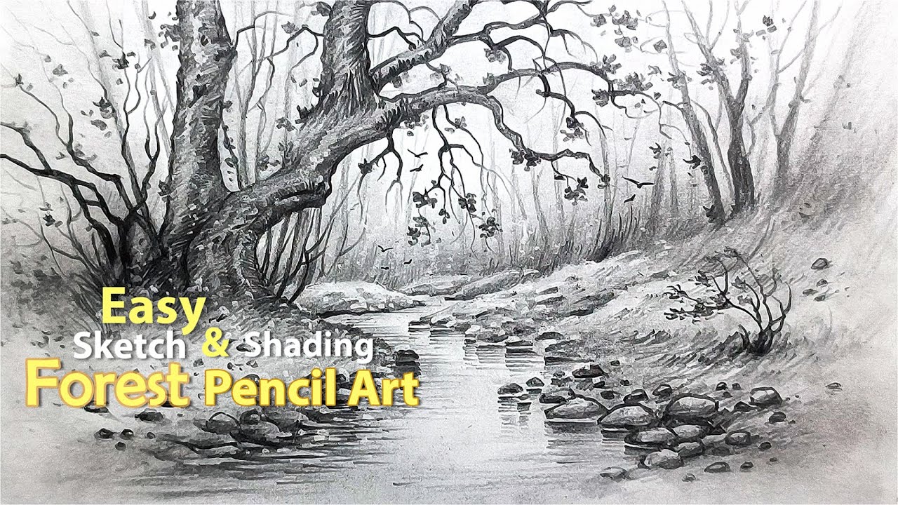 How to draw Easy Forest Pencil Drawing | Step-by-Step Sketch & Shading for Beginners