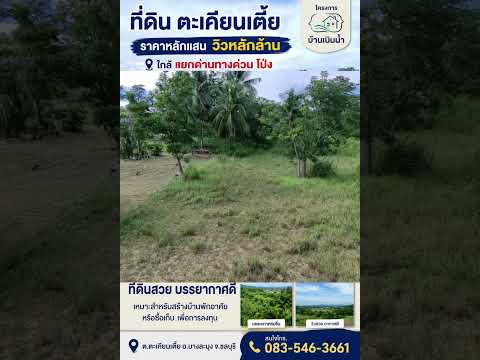 ขายที่ดิน จัดสรร 125ตรว. โครงการบ้านเนินน้ำ แวดล้อมด้วยธรรมชาติ เหมาะสร้างบ้านพัก ตะเคียนเตี้ย, ชลบุรี, บางละมุง, ชลบุรี, 500 ตร.ม., ที่ดิน ขาย, โดย ชื่นศิกานต์ ภูเบศพุฒิพัฒน์ คุณหญิง, 500374087 - DDproperty.com