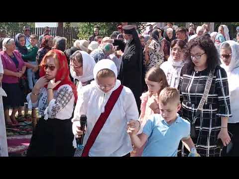 PS Nichifor Botosaneanul, at Dacia, Botosani