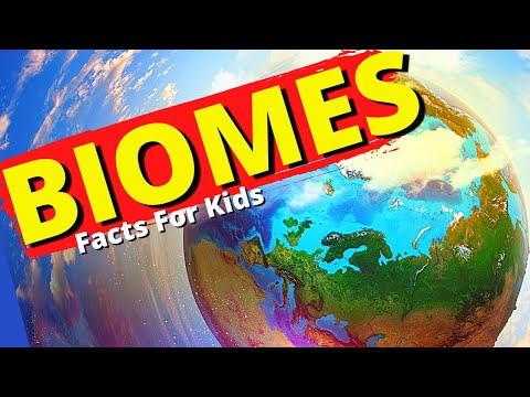 What Are Biomes? | Biome Facts for Kids | Aquatic, Desert, Rainforest, Tundra, Grassland