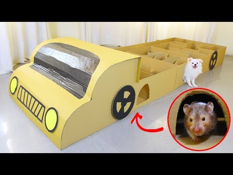 Snowball Dog Vs Hugo Hamster In Car Race Making From Cardboard