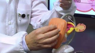 Cirurgia íntima do monte púbico ou monte de Vênus