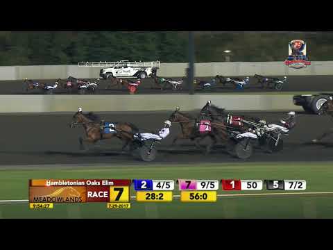 Hambletonian Oaks Elim 2 - July 29, 2017