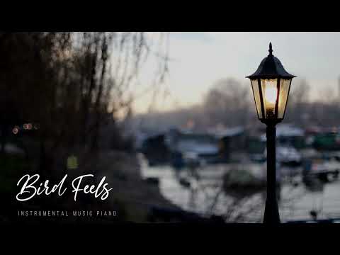 Bird Feels | Instrumental Music Piano | #dirumahaja
