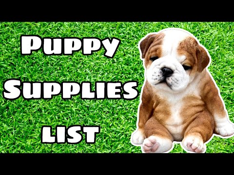Ultimate English Bulldog Puppy Supplies List | Everything You Need for a New Bulldog Puppy