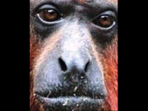 FG El Contrato del Espanto - Luis Lozada El Cubiro