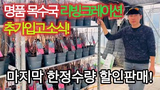 명품 목수국 리빙크레이션 제품이 추가입고 되었습니다. 마지막 한정 수량 판매 !
