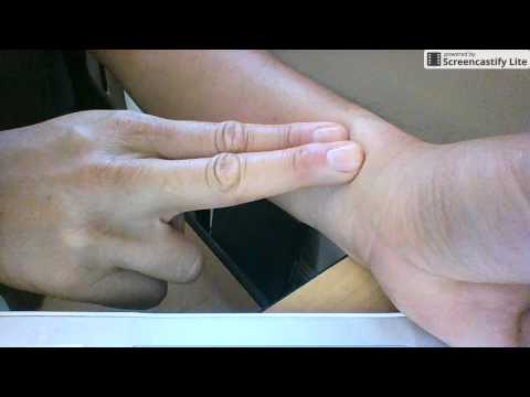 Heart Rate Measurement: Wrist