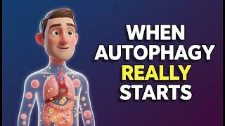 How Long Could You Fast Before Triggering Autophagy (Science Explained)