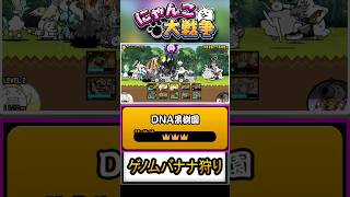 【★★★】本垢の真レジェンド片付けましょう《ゲノムバナナ狩り》に挑戦！【DNA果樹園】 #にゃんこ大戦争