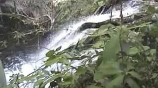 preview picture of video 'Rio Las Piedras, Sierra De Agalta, Olancho Hoduras'
