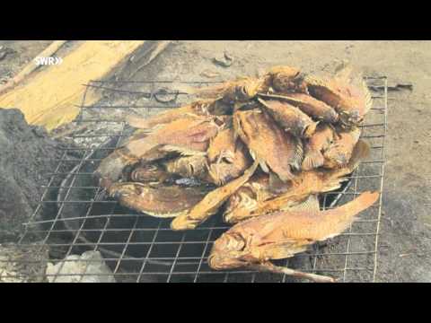 Eisenbahn Romantik Schienensafari in Tansania