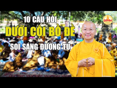 Phật pháp vấn đáp dưới cội bồ đề