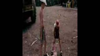 Rabbits are Queeeeoh!