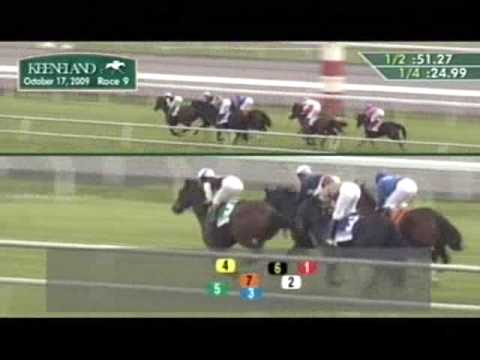 2009 Queen Elizabeth II Challenge Cup Stakes