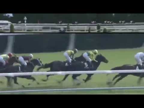 2015.11.15 Kigiku Sho (JPN) - Battistini