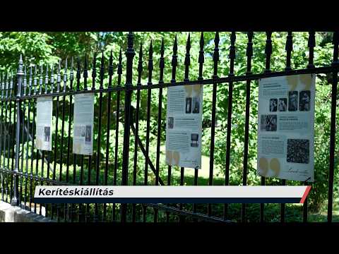 Híradó – 2026.06.24. – Szerda