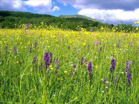 HDH Kolektyff - Pójde Tędy (LEGNICA 2003)