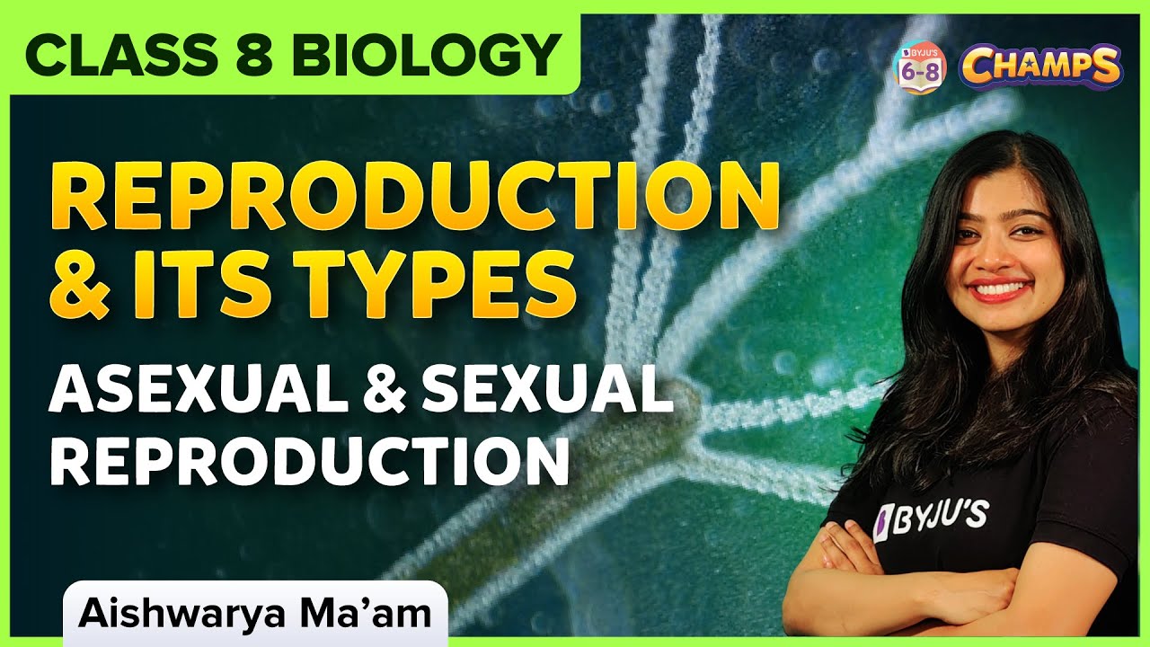 Reproduction and it's Types | Asexual reproduction | Reproduction in animals Class 8 CBSE