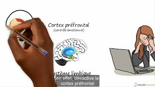 Chiropracteur Paris, perception