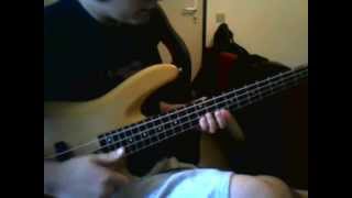 Claypool's Duo Twang Tuto bass - Wynonna's Big Brown Beaver