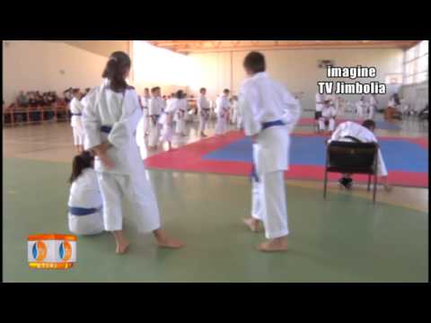 KARATE - UNIREA SANNICOLAU MARE