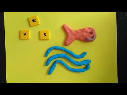 Stop Motion - Letterfeest