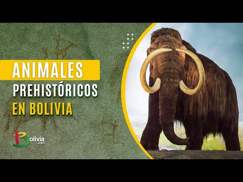 ¿Mastodontes en Bolivia? Descubren restos de animales prehistóricos en Chuquisaca