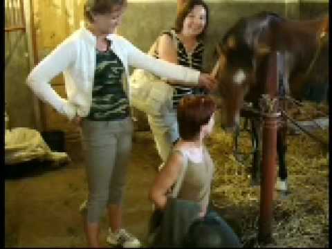 Honza Nedvěd a Luka pod Medníkem, Noe, Múj Ota Pavel