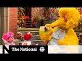 Sesame Street Celebrates 50 Years On TV