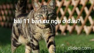 bài 11 bạn cư ngụ ở đâu