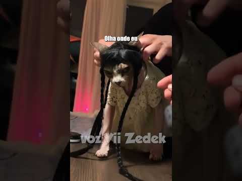 Bichinhos que nos entendem -sphinxes