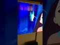 Pocahontas Just Around The Riverbend Persian Qualima Preview