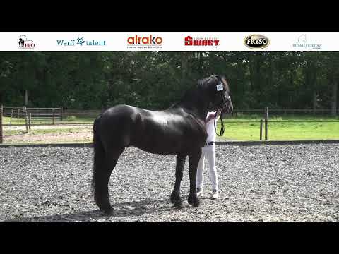 Locatie keuring Stal Gaasterland | 18 juni 2022