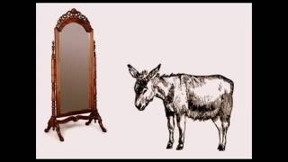 EL BURRO Y EL ESPEJO (Cuentacuentos)