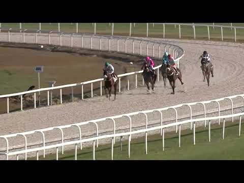 2020.12.06. 03. futam - KERTESKŐI DÍJ (I.kat.)(szintetikus pálya)