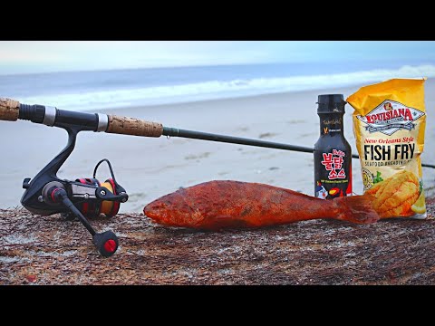 Catch n' Cook Korean FIRE SAUCE FISH on the Beach!
