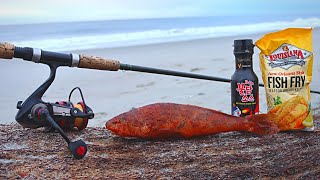 Catch n&#39; Cook Korean FIRE SAUCE FISH on the Beach!