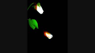 Mark Whitfield / You Don't Know What Love Is