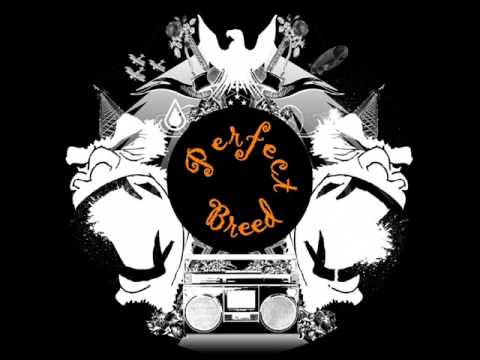 Michael Jackson - Smooth Criminal (John Dabel vs Antonio Belcastro Bootleg Tribute) HQ