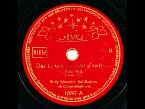 Schneider, Willy / Orchesterbegleitung - Das kannst du nicht ahnen